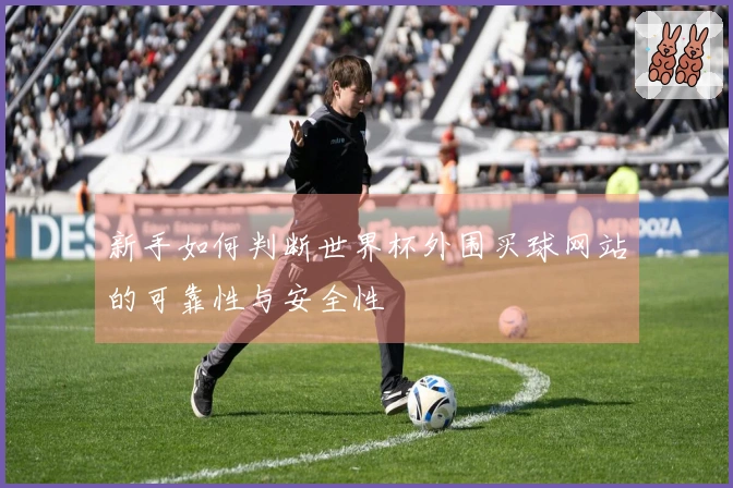 新手如何判断世界杯外围买球网站的可靠性与安全性
