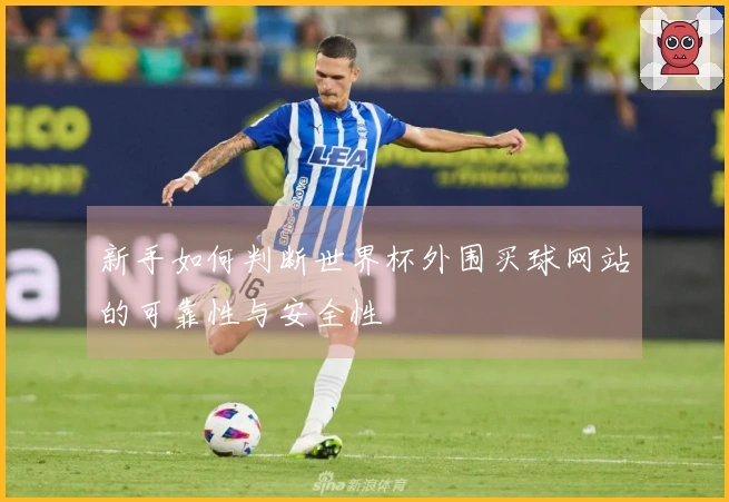 新手如何判断世界杯外围买球网站的可靠性与安全性