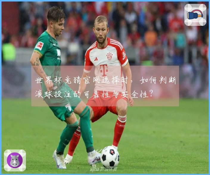 世界杯竞猜官网选择时，如何判断滚球投注的可靠性与安全性？