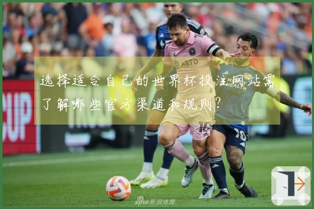 选择适合自己的世界杯投注网站需了解哪些官方渠道和规则？
