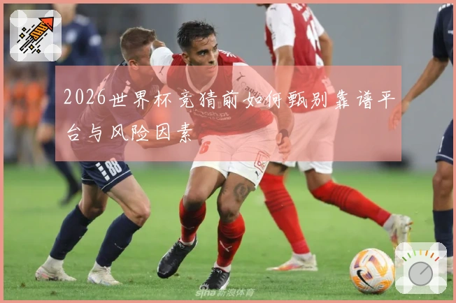 2026世界杯竞猜前如何甄别靠谱平台与风险因素