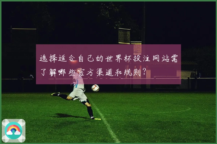 选择适合自己的世界杯投注网站需了解哪些官方渠道和规则？