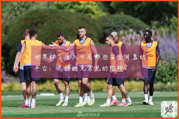 世界杯下注入口有哪些安全可靠的平台,怎样避免常见的陷阱?